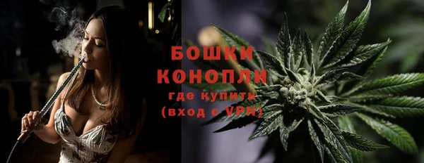 прущие грибы Ладушкин