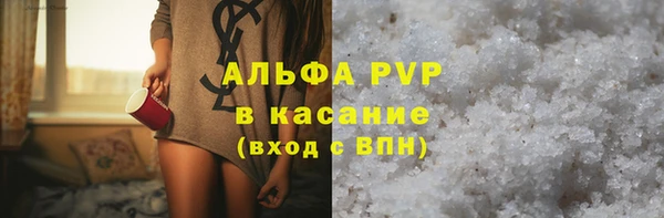 прущие грибы Ладушкин