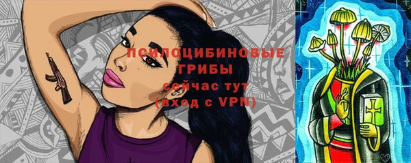 прущие грибы Ладушкин