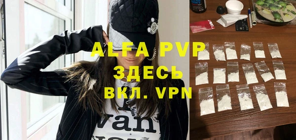 прущие грибы Ладушкин
