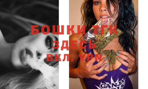 прущие грибы Ладушкин
