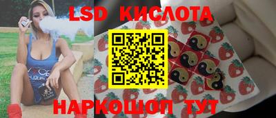 спиды Волгодонск