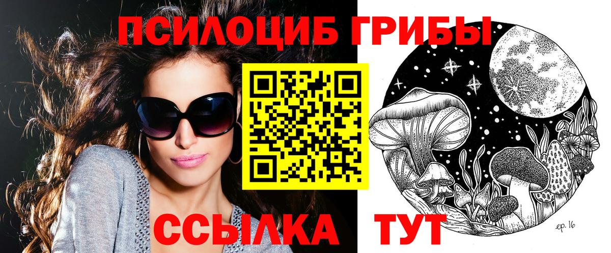 Псилоцибиновые грибы прущие грибы  как найти наркотики  Ярцево 